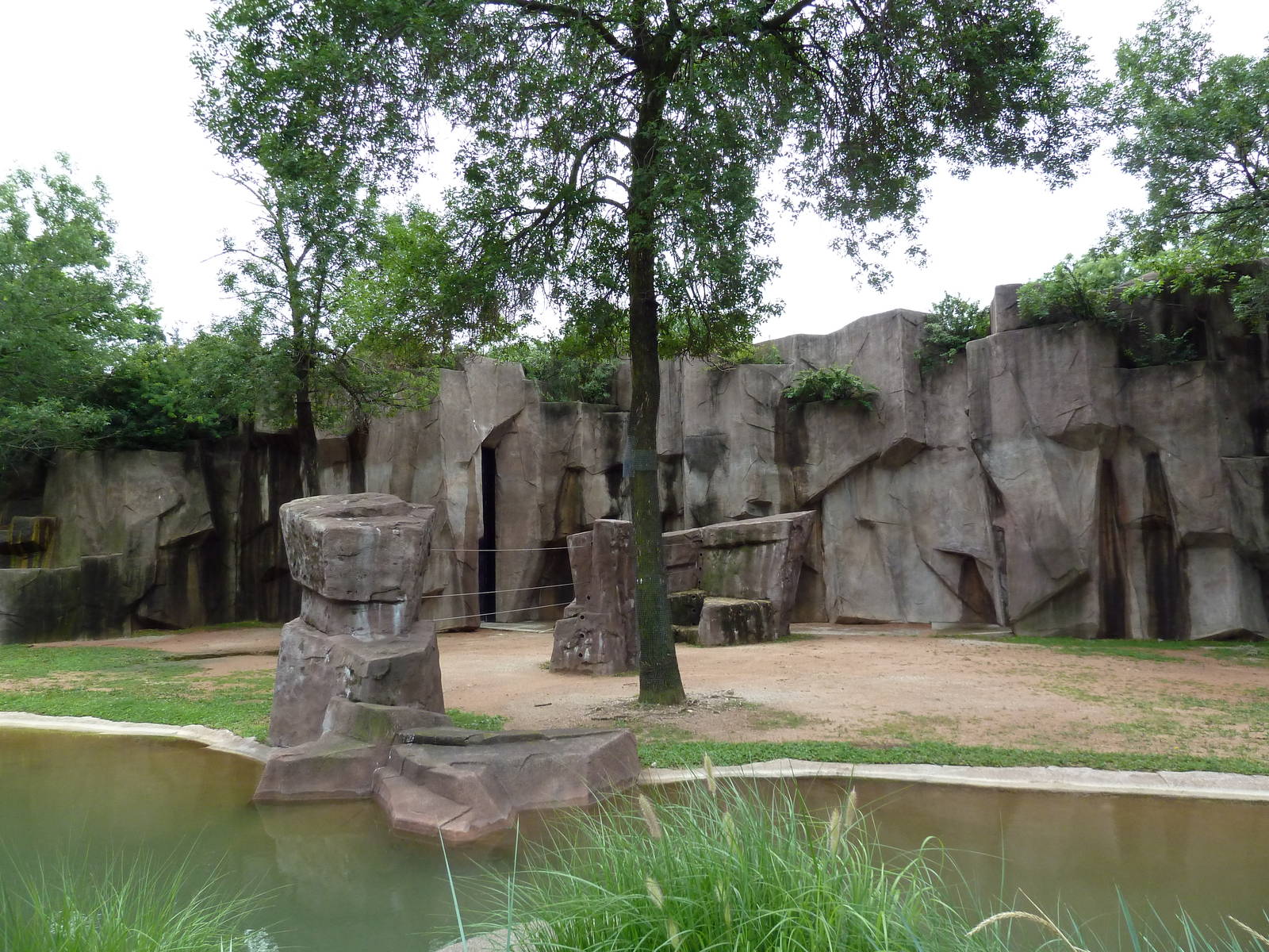 Giraffe Exhibit