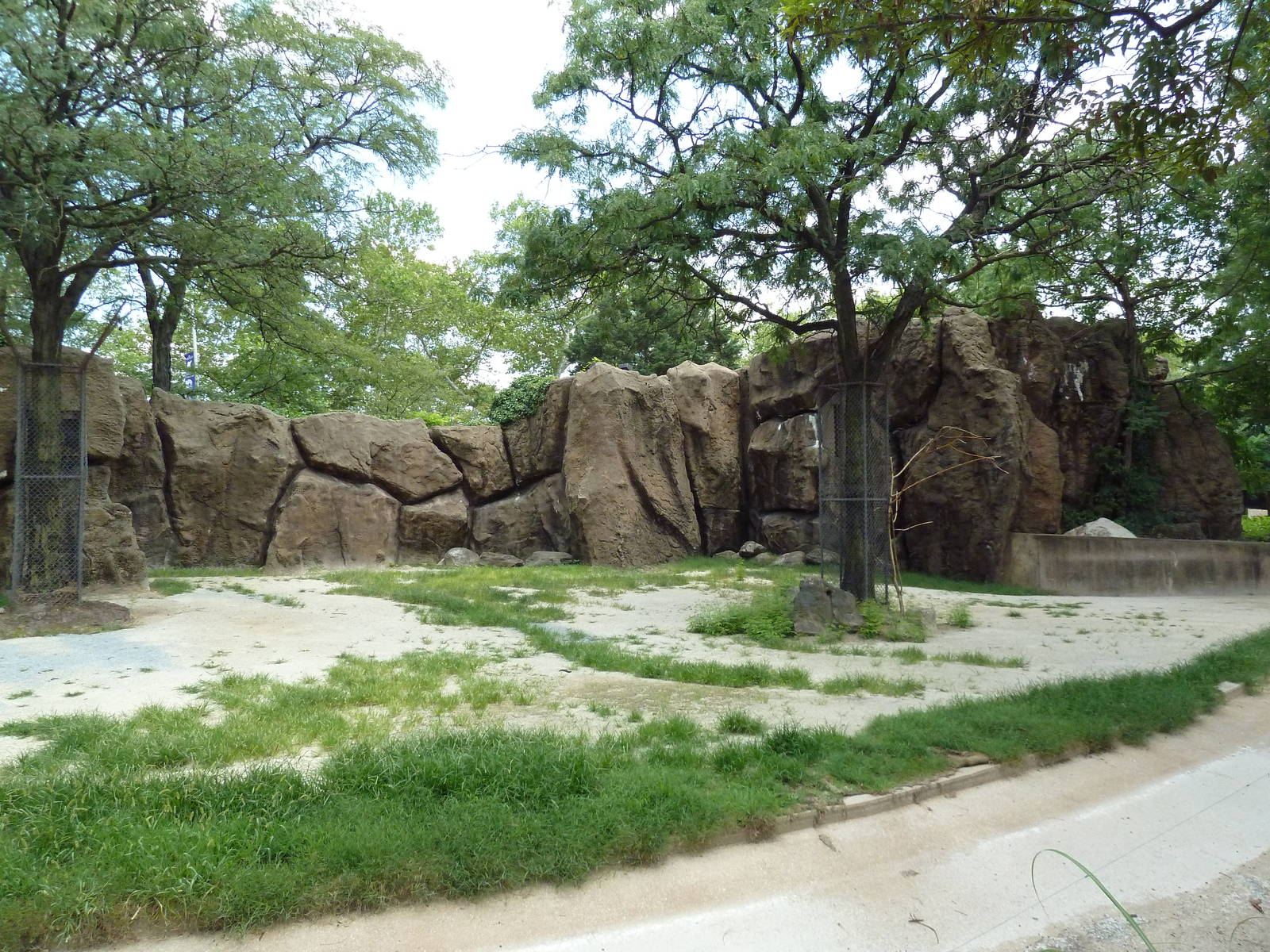 Giraffe Exhibit