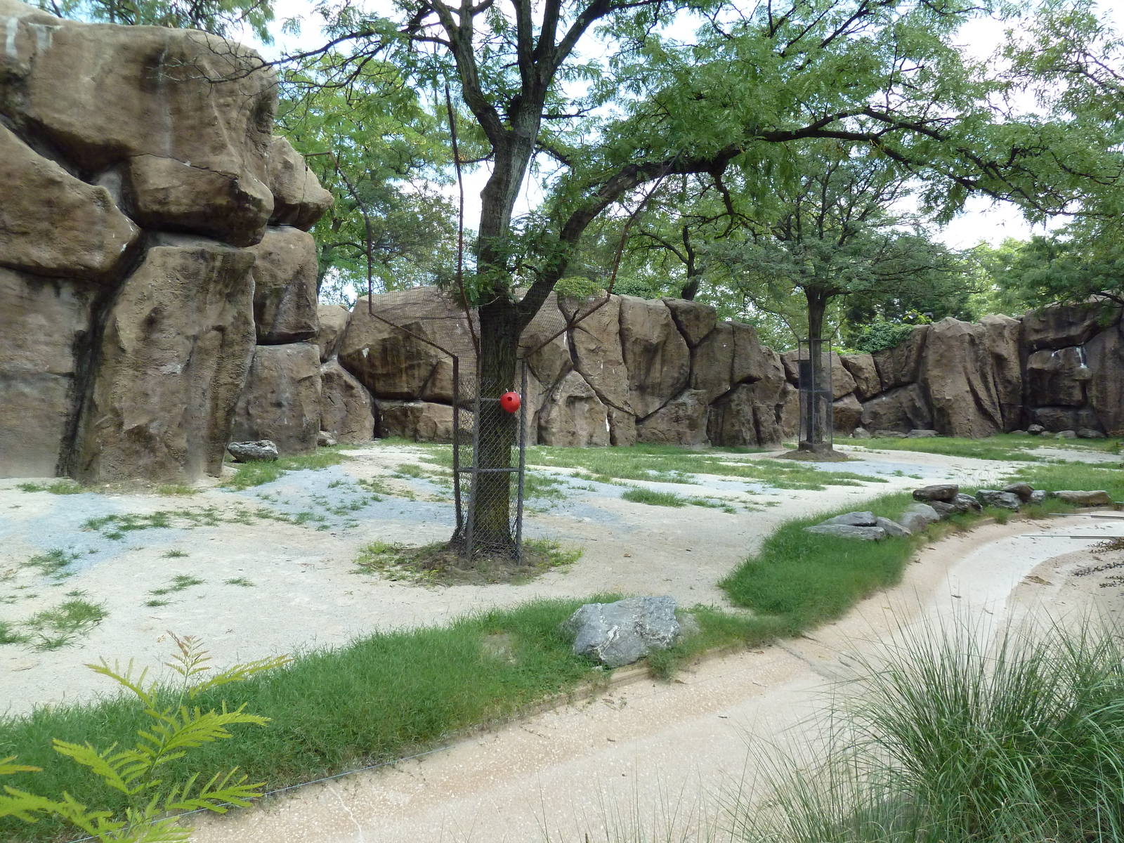 Giraffe Exhibit