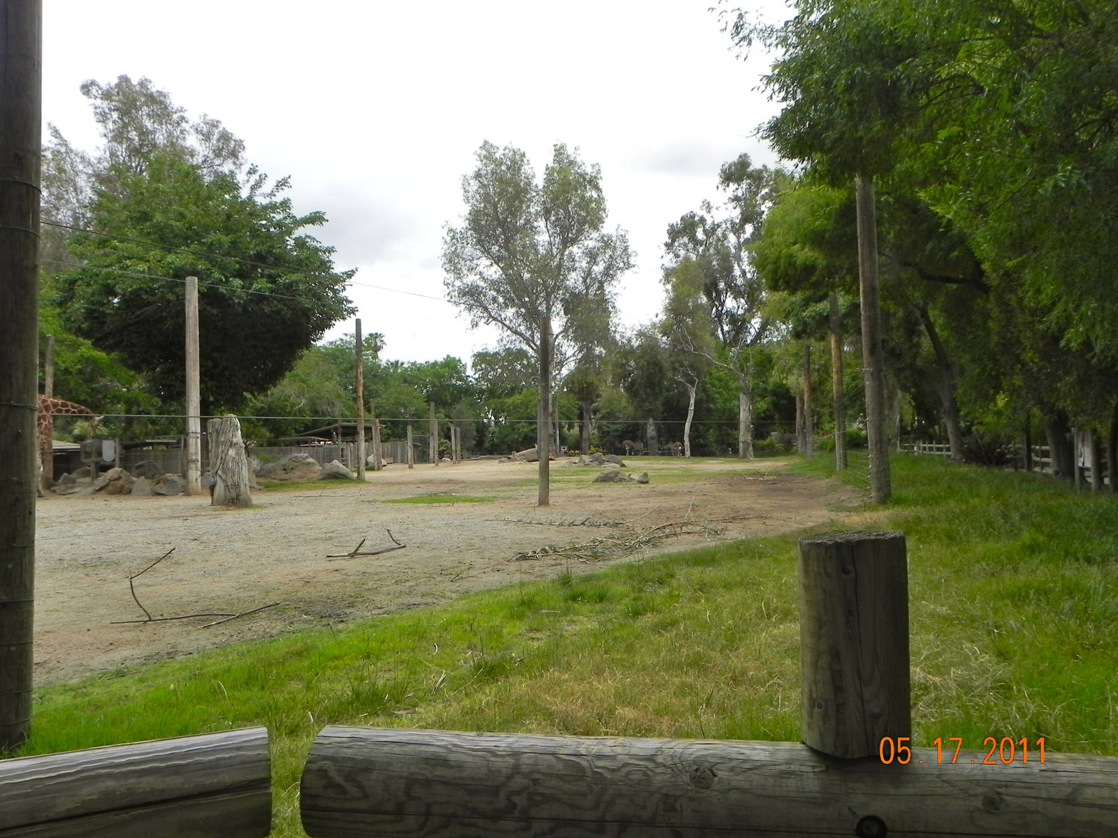 Giraffe Exhibit