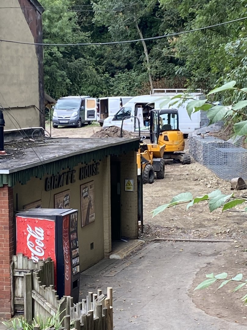 Giraffe expansion underway.