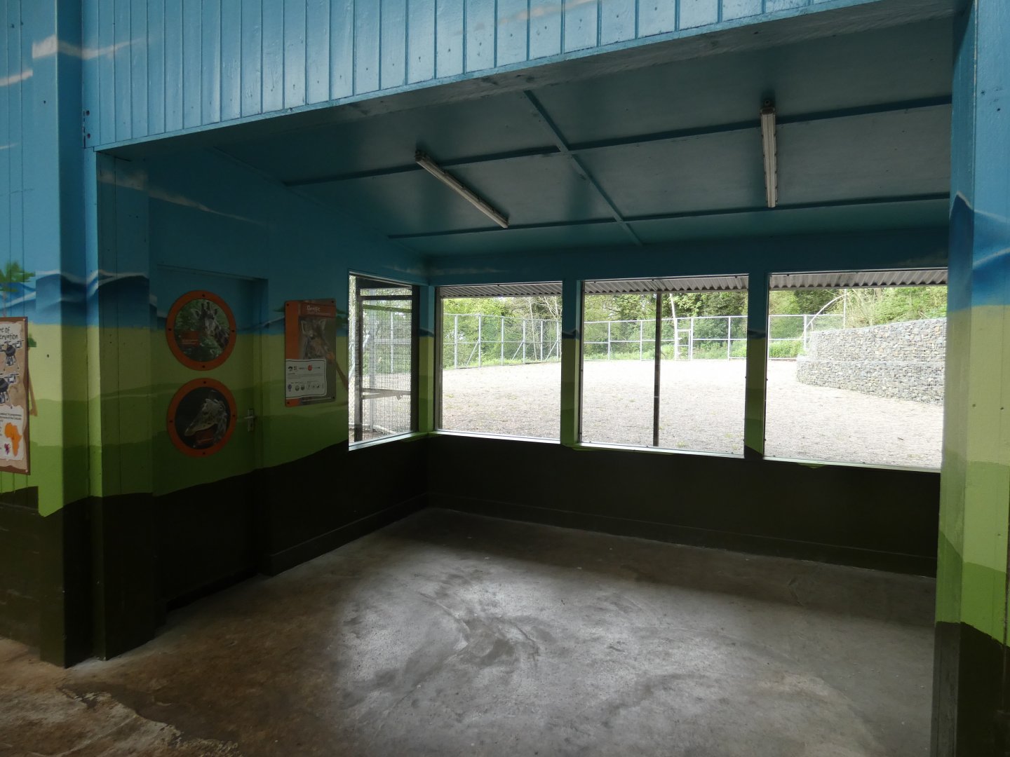 Giraffe extension viewing area