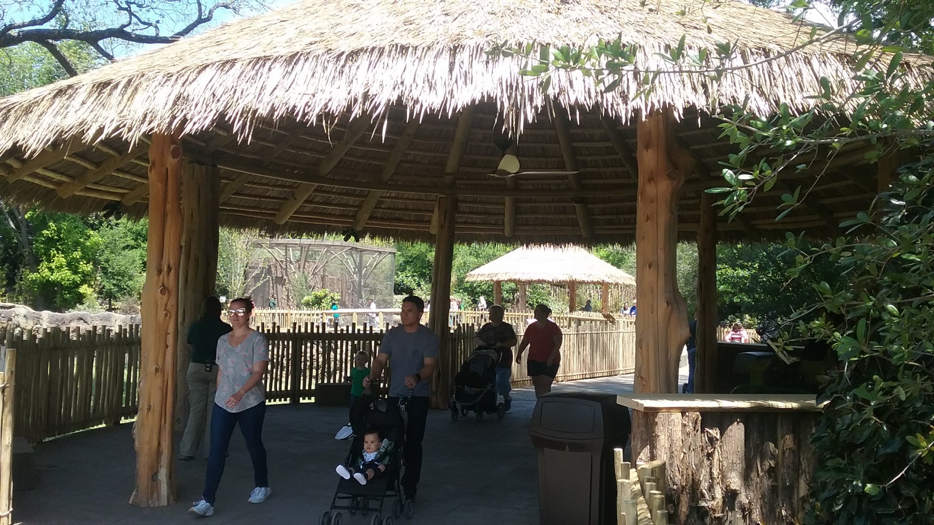 Giraffe feeding area again