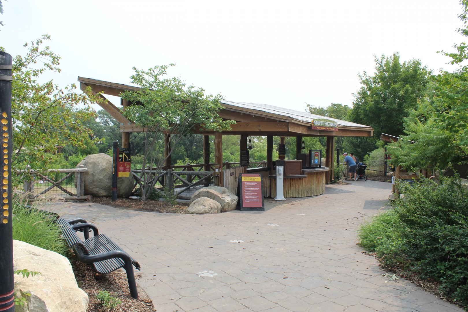 Giraffe Feeding Deck - African Grasslands