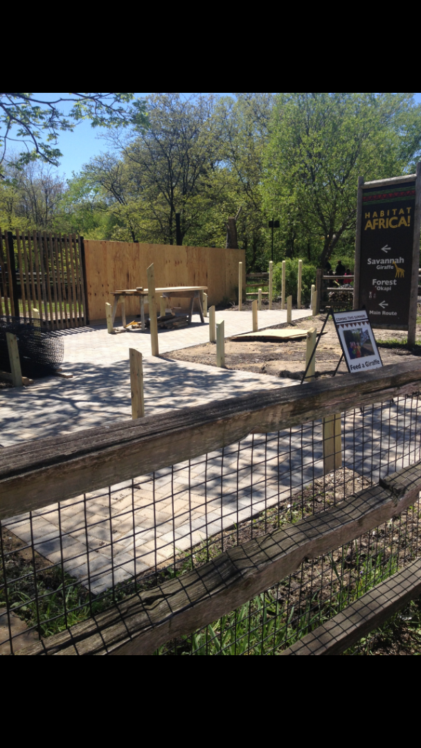 Giraffe Feeding Deck Construction