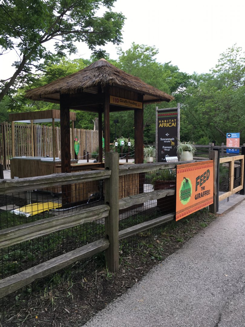 Giraffe Feeding Deck