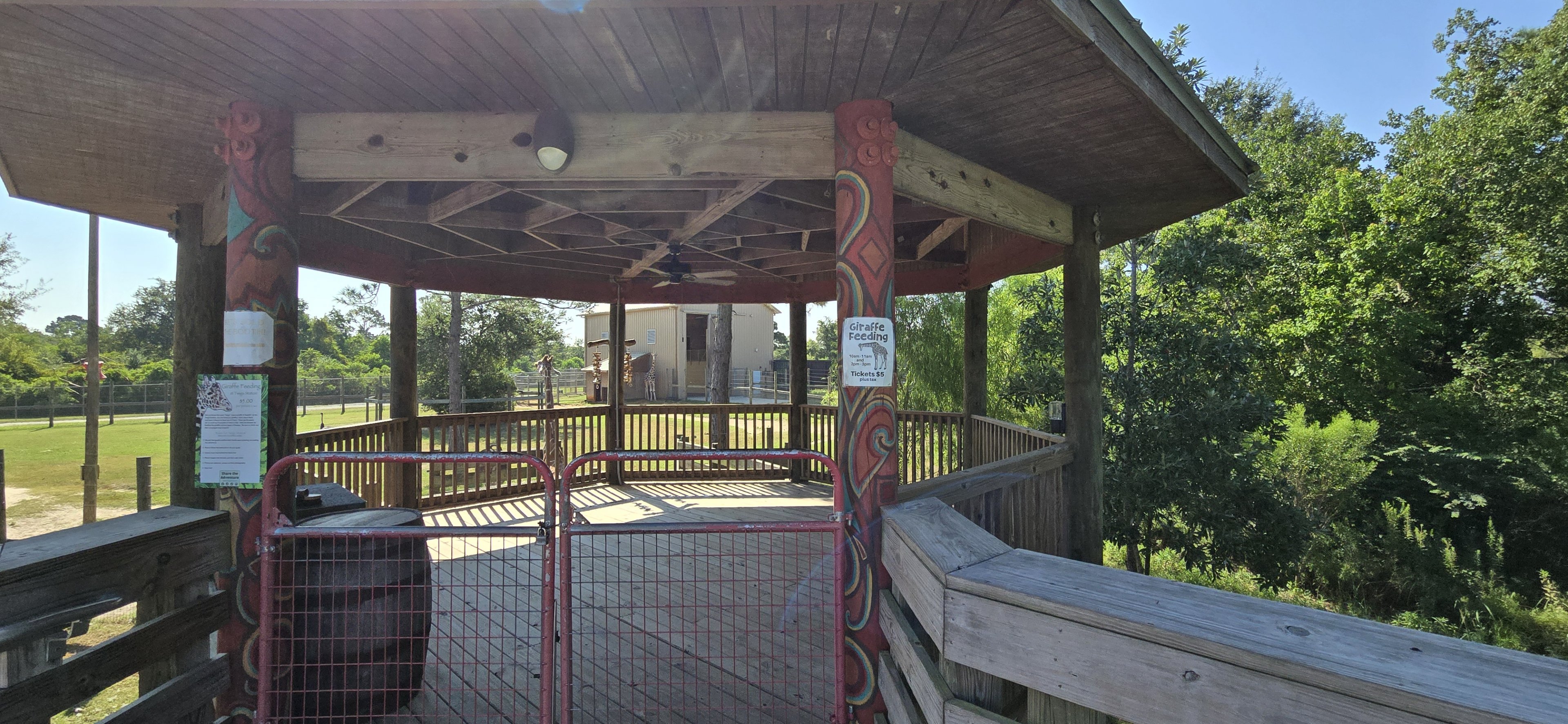 Giraffe feeding deck