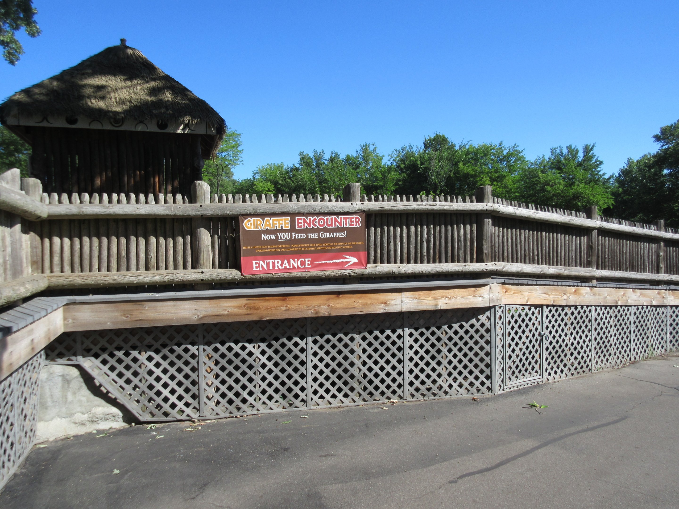 Giraffe Feeding Platform