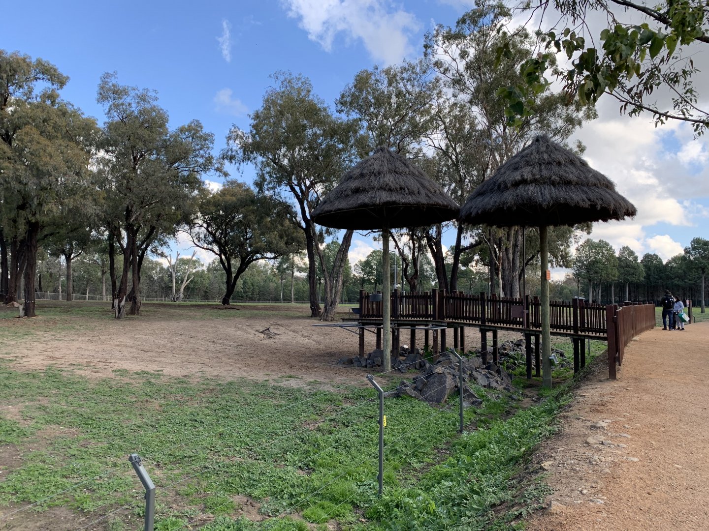 Giraffe Feeding Platform