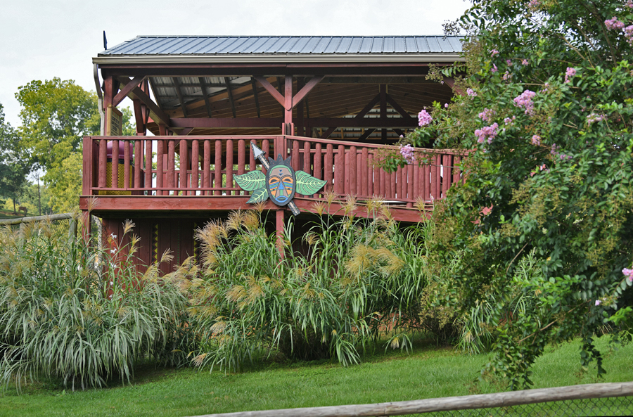 giraffe feeding platform