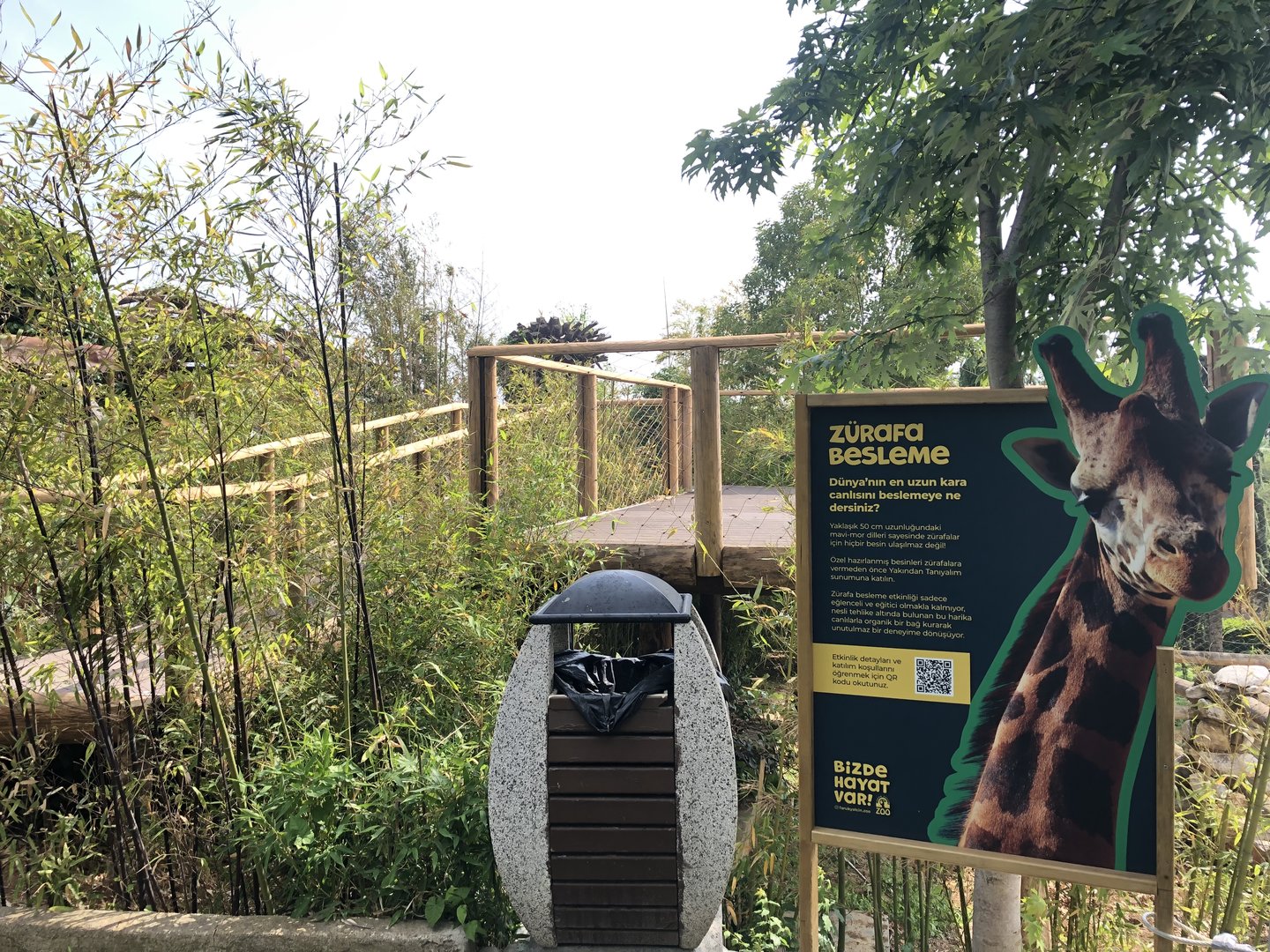 Giraffe feeding platform