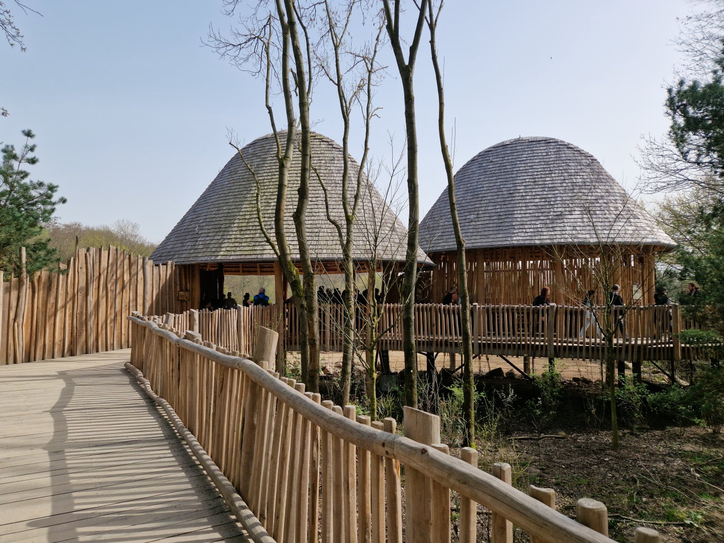 Giraffe feeding platform