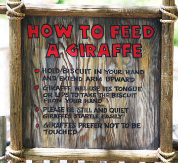 giraffe feeding sign