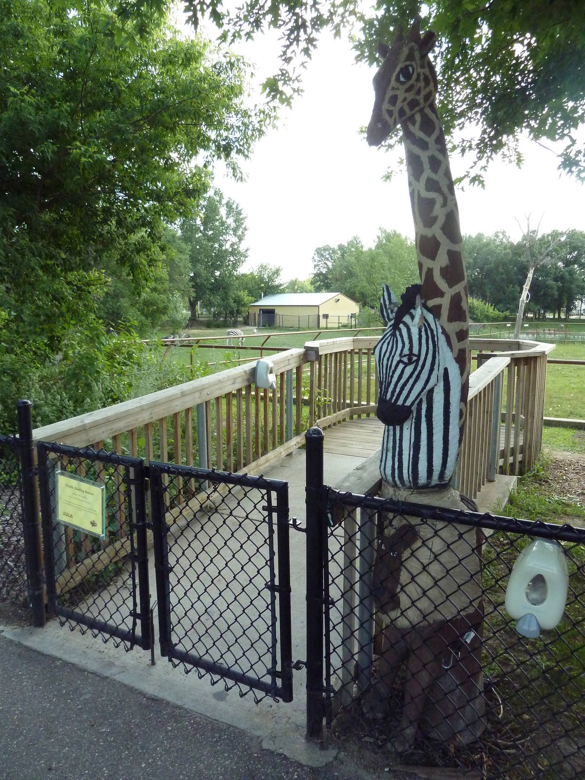 Giraffe Feeding Station