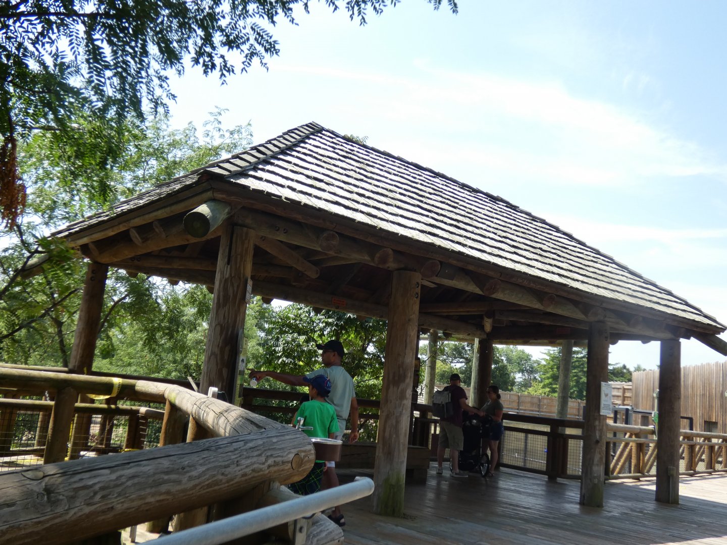 Giraffe Feeding Station