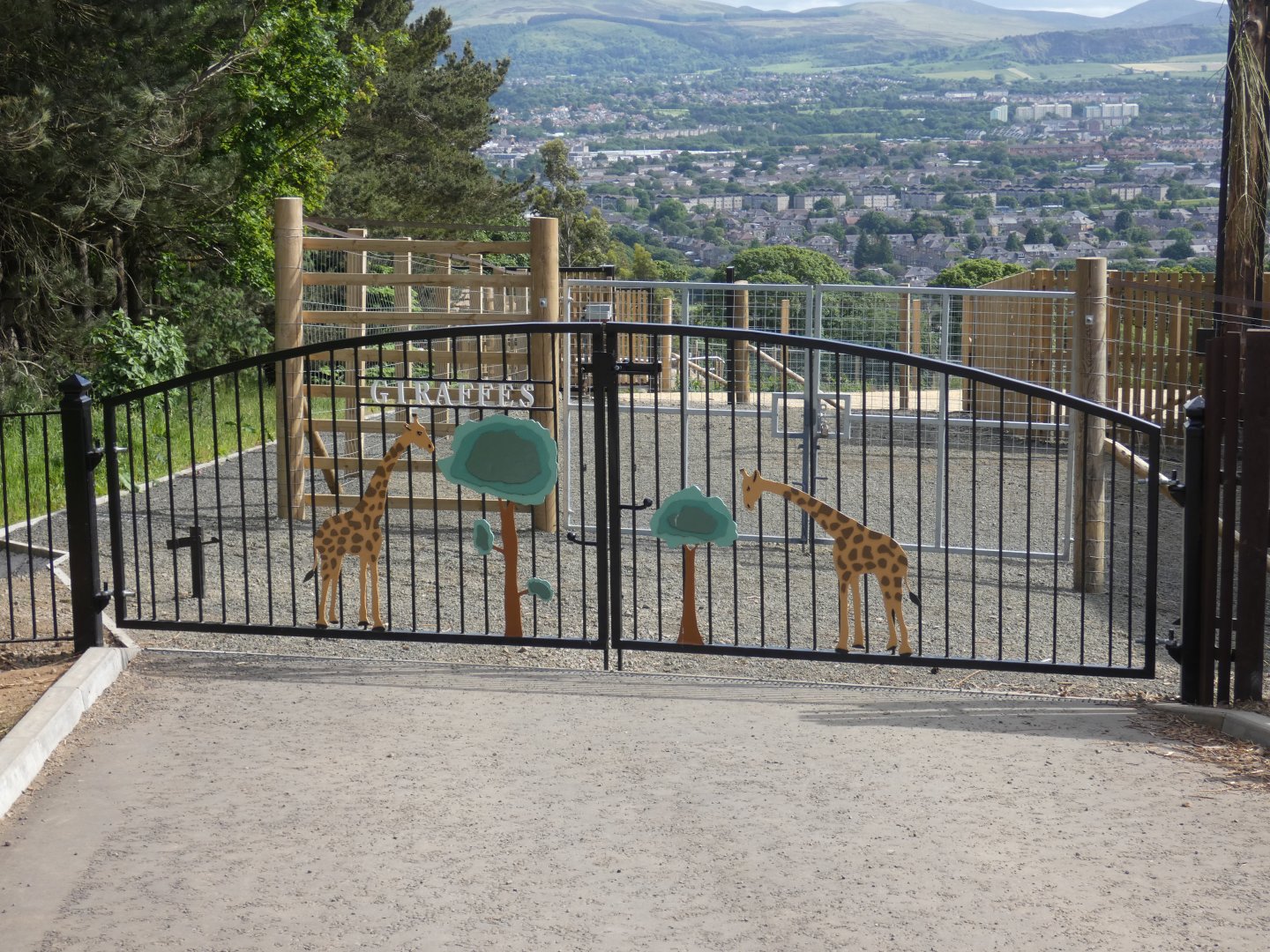 Giraffe gate