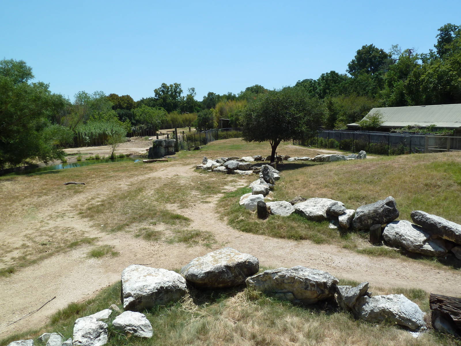 Giraffe/Gerenuk/Kudu/Marabou Stork/Crowned Crane Exhibit