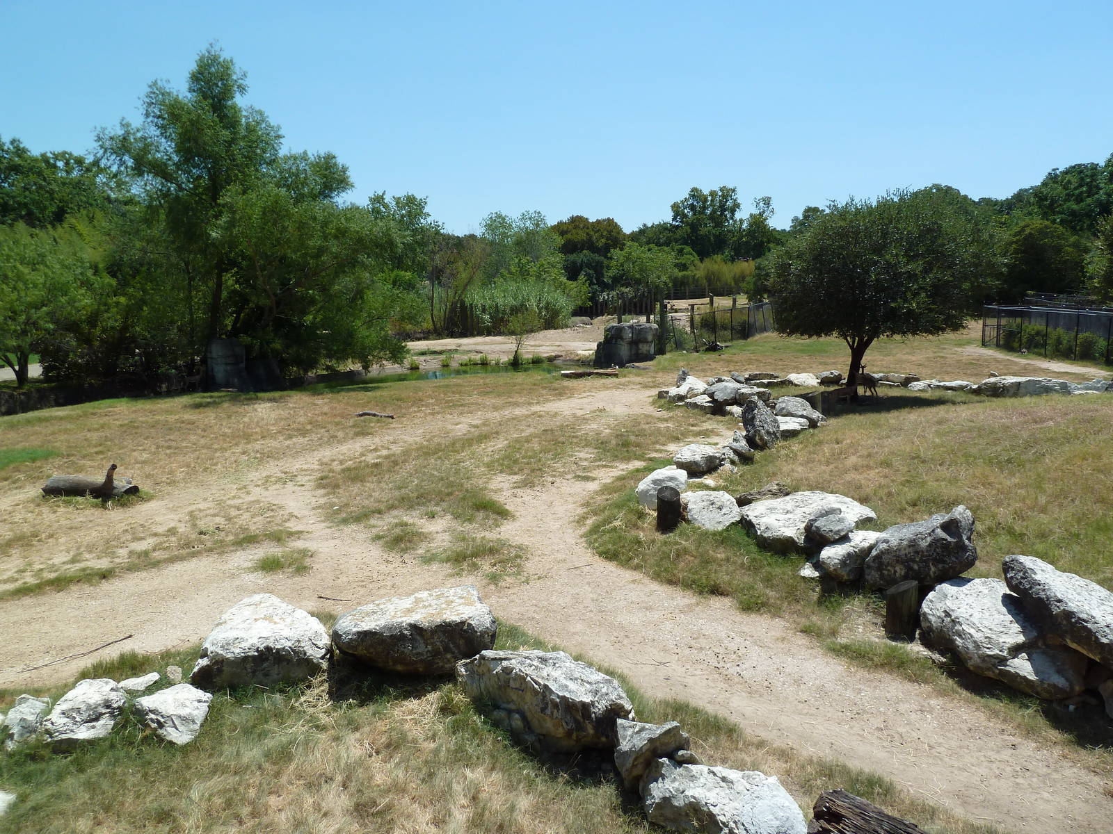Giraffe/Gerenuk/Kudu/Marabou Stork/Crowned Crane Exhibit