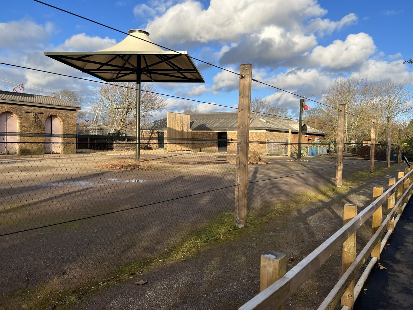 Giraffe (Giraffa camelopardalis) and Zebra (Equus quagga) Enclosure