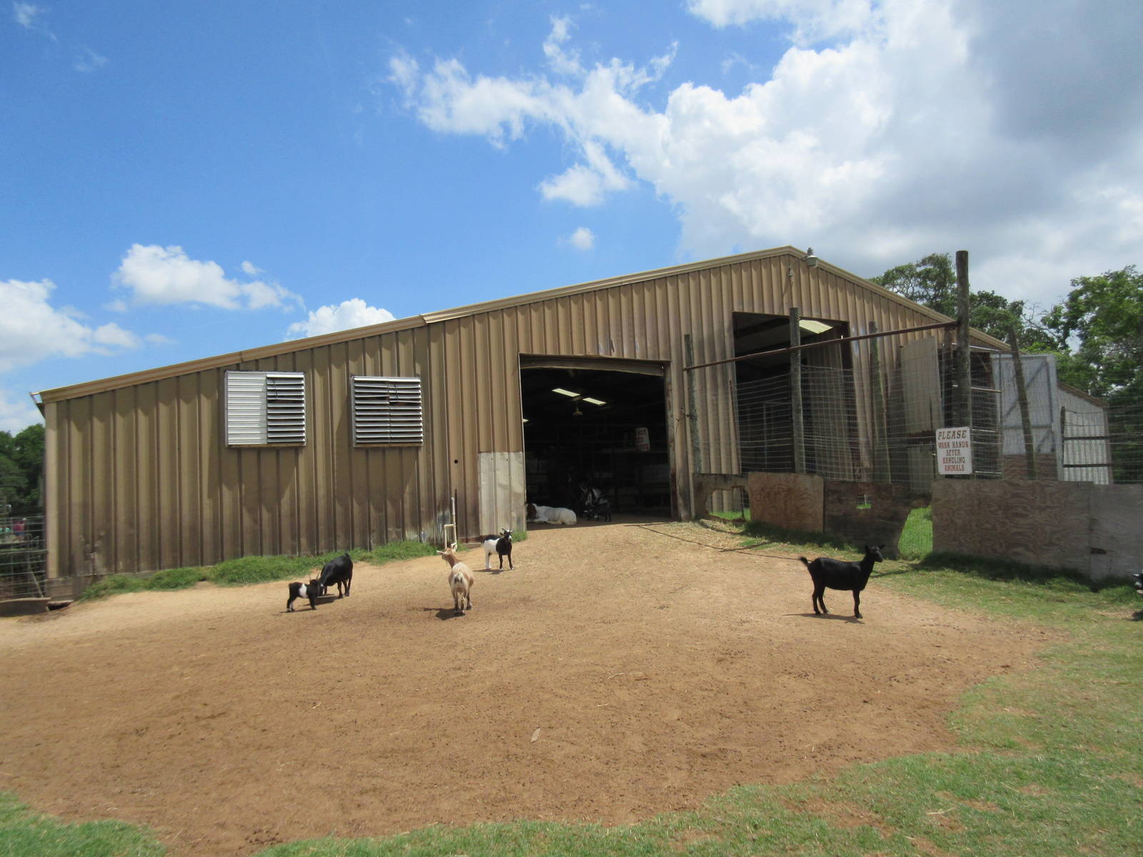 Giraffe/Goat Barn - Exterior