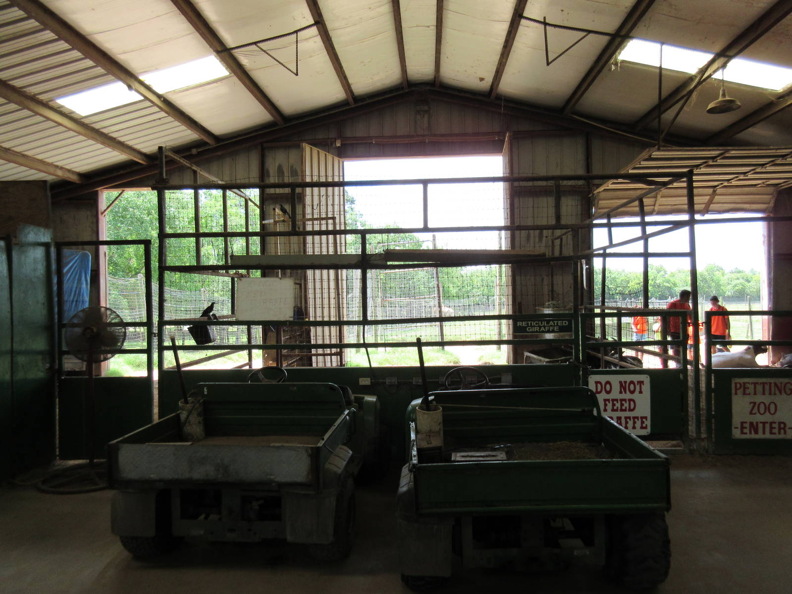 Giraffe/Goat Barn - Interior