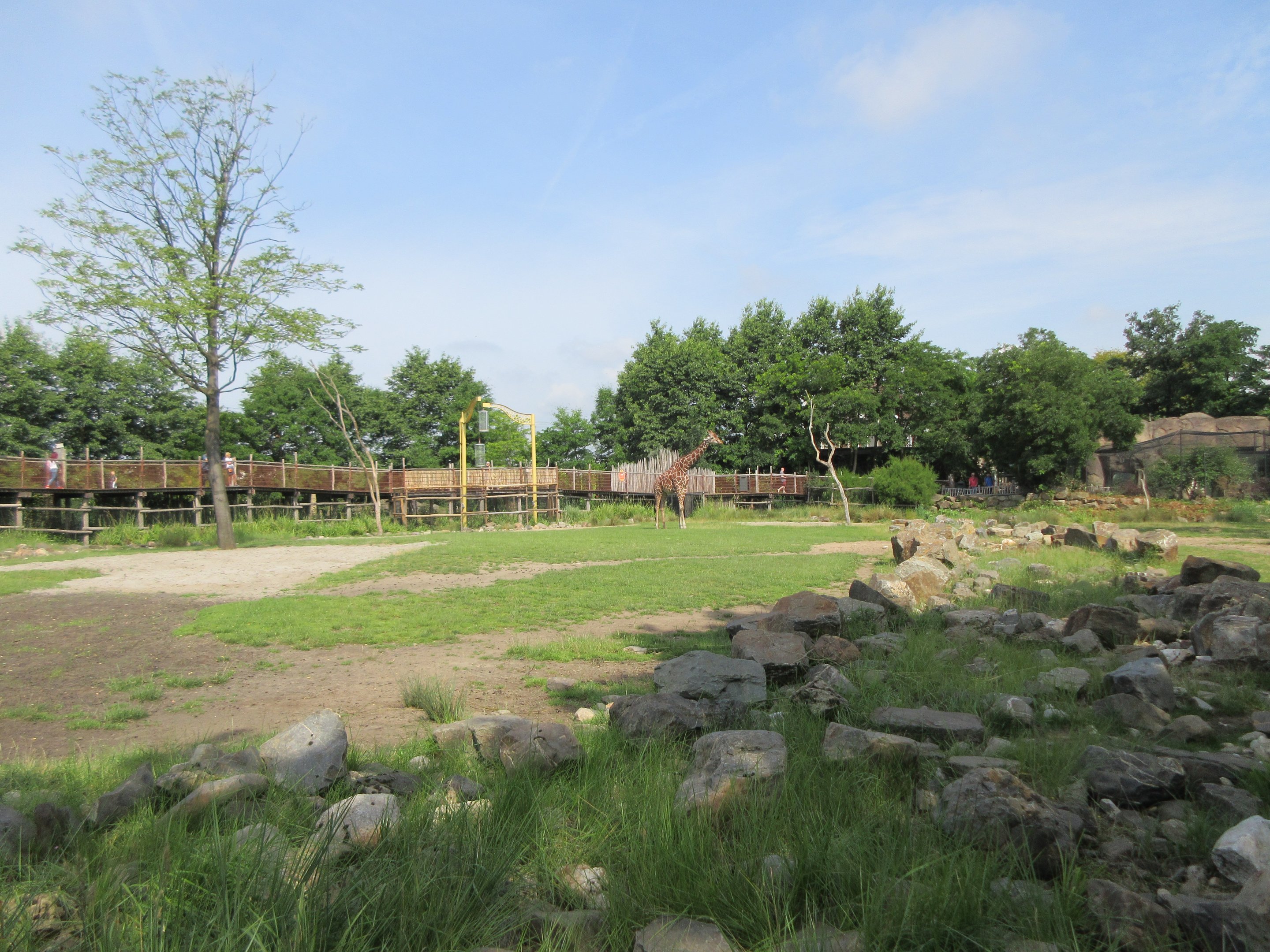 Giraffe/Greater Kudu Exhibit