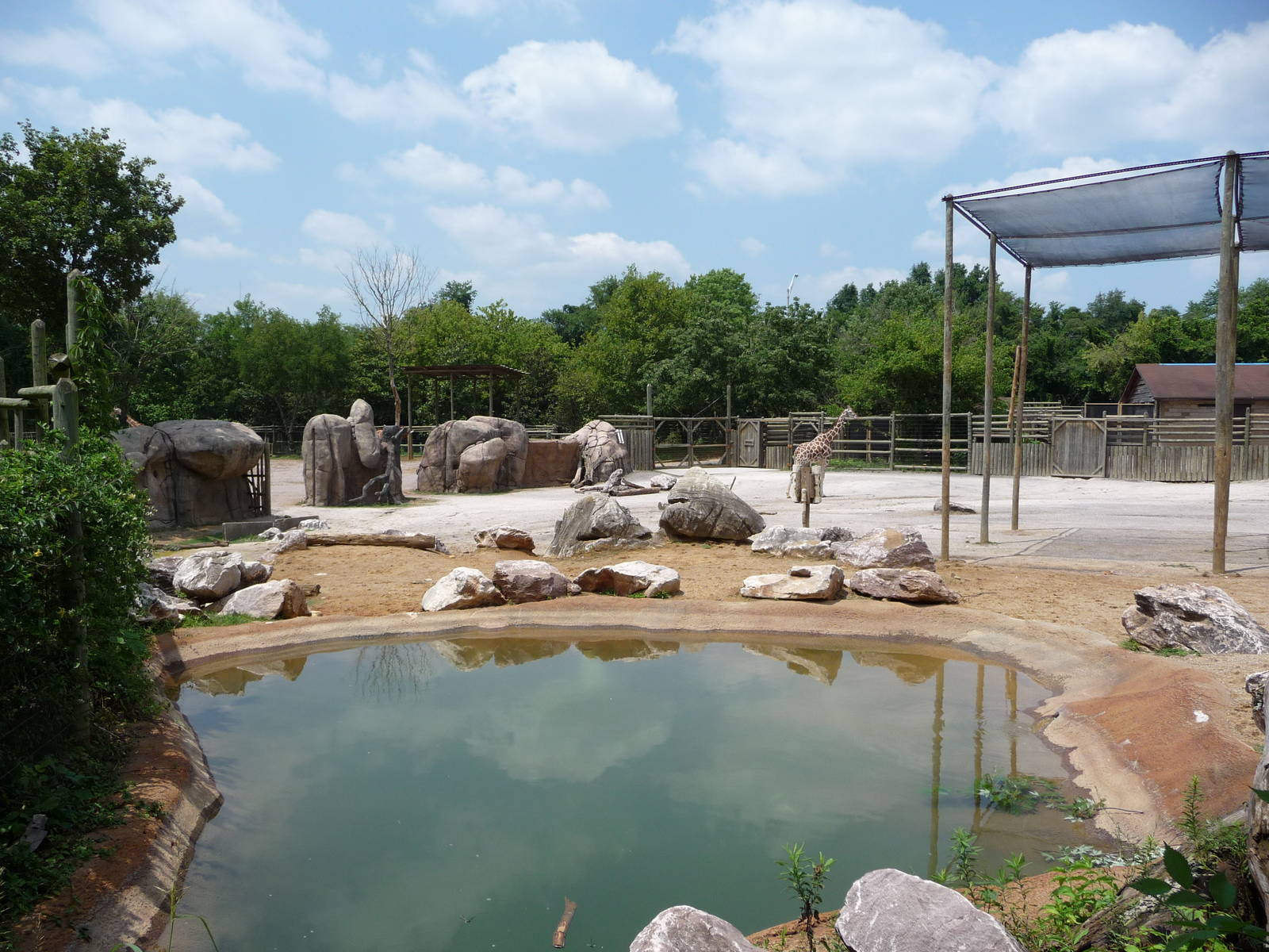 Giraffe/Greater Kudu/Waterbuck/Thomson's Gazelle Exhibit