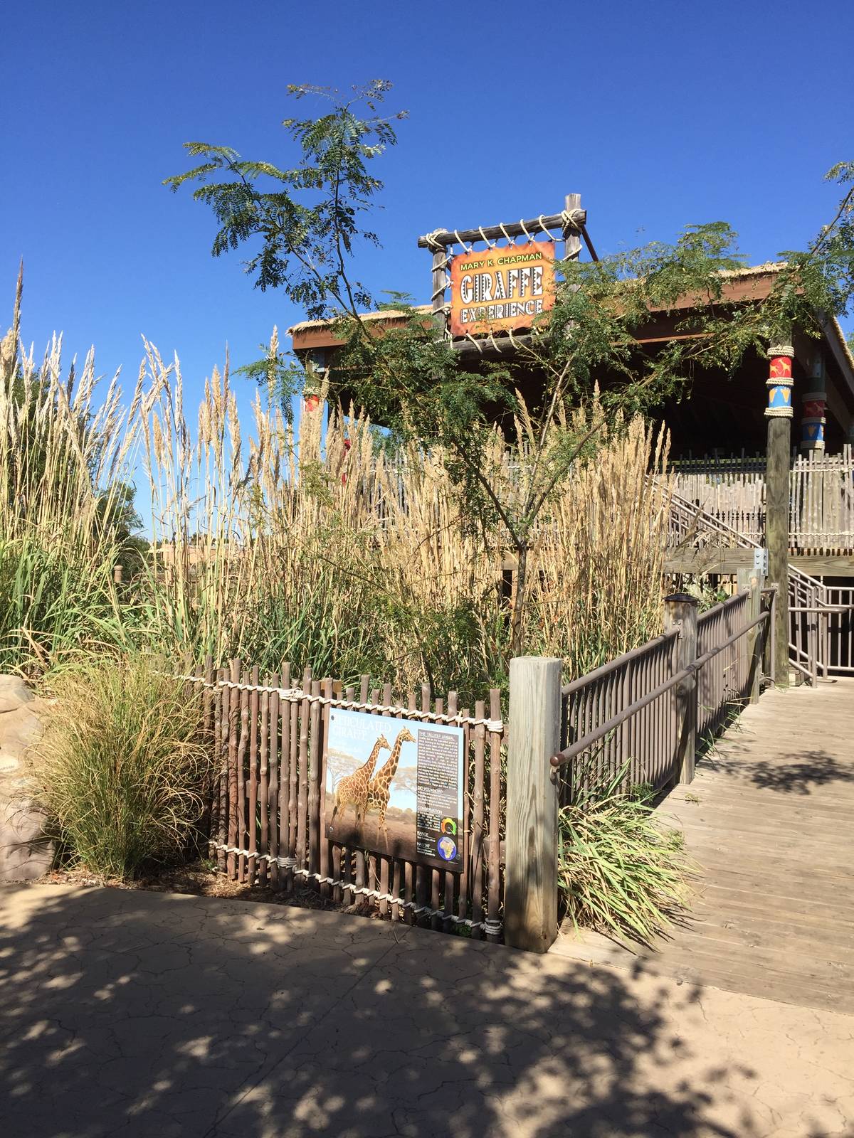 Giraffe Habitat - covered viewing platform