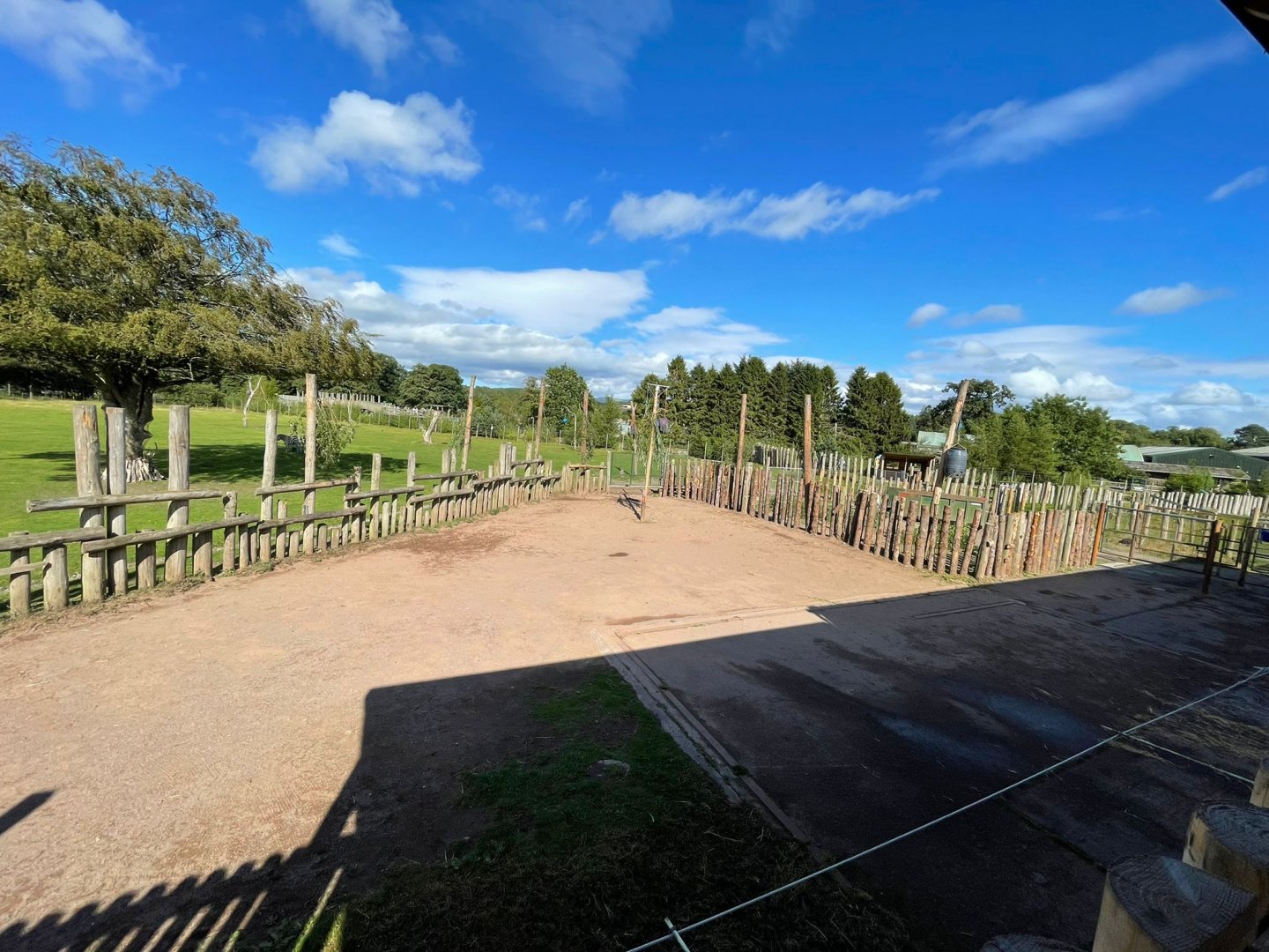 Giraffe hard standing area