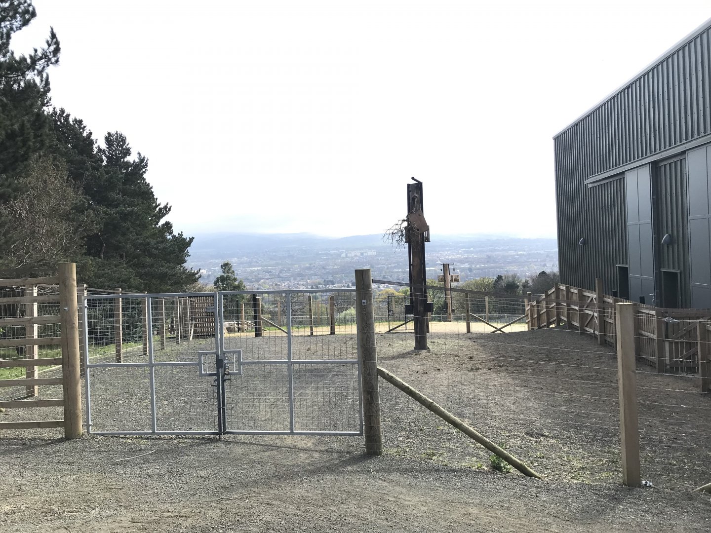 Giraffe holding area