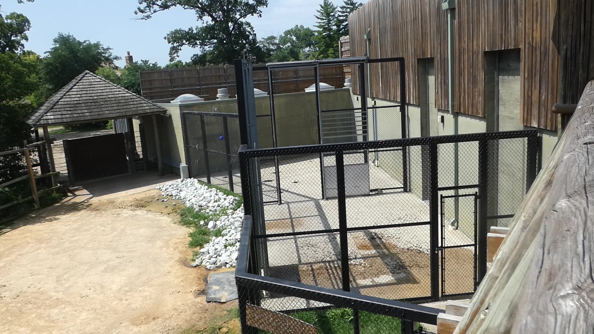 Giraffe Holding Yards