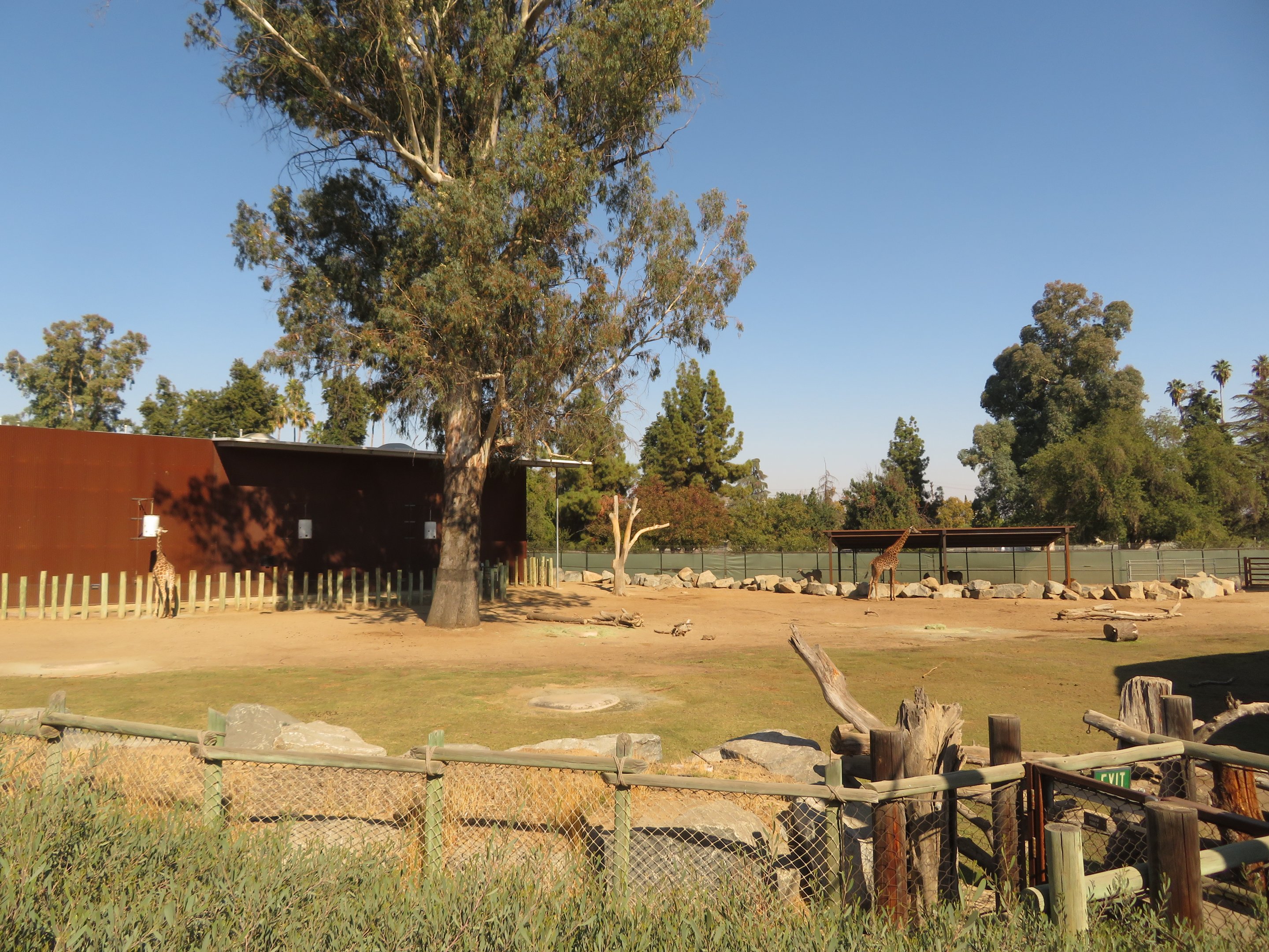 Giraffe/Hoofstock Exhibit