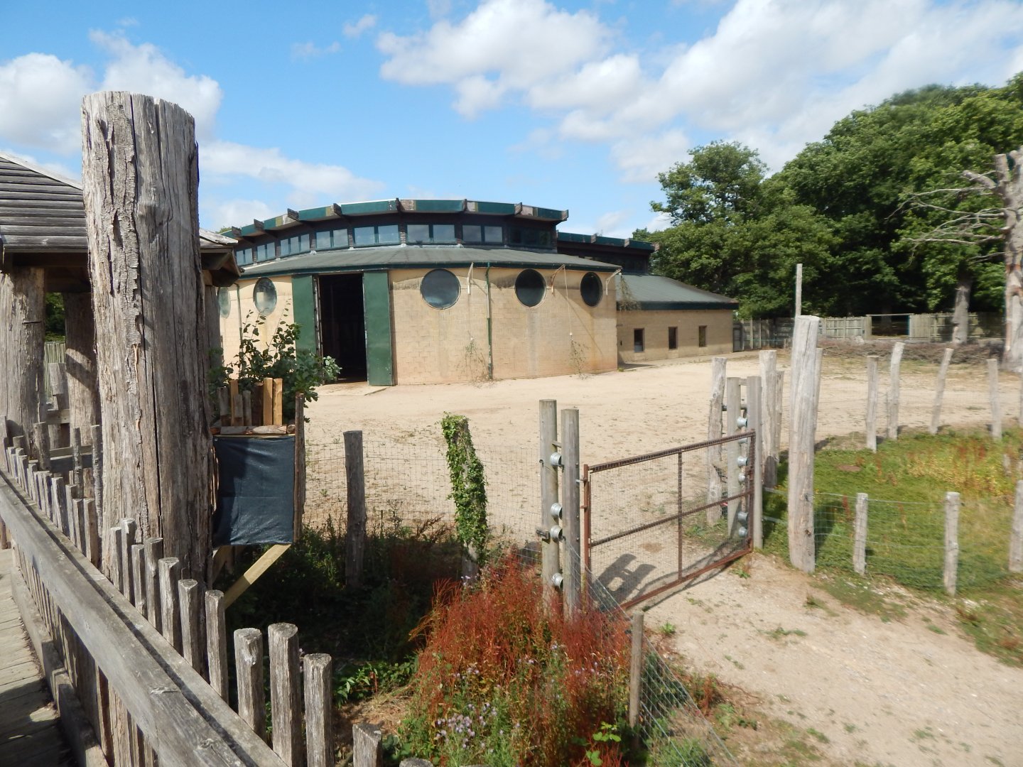 Giraffe House 150725