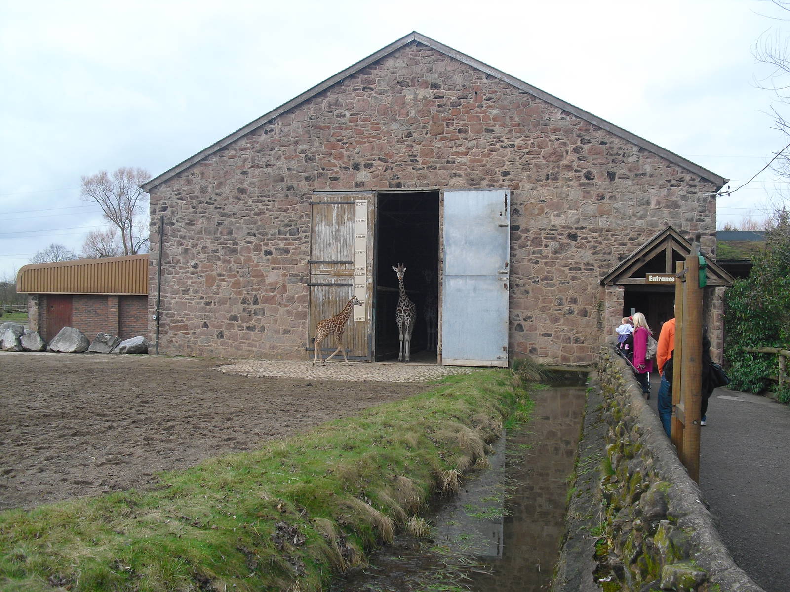 Giraffe House - 16/02/2011