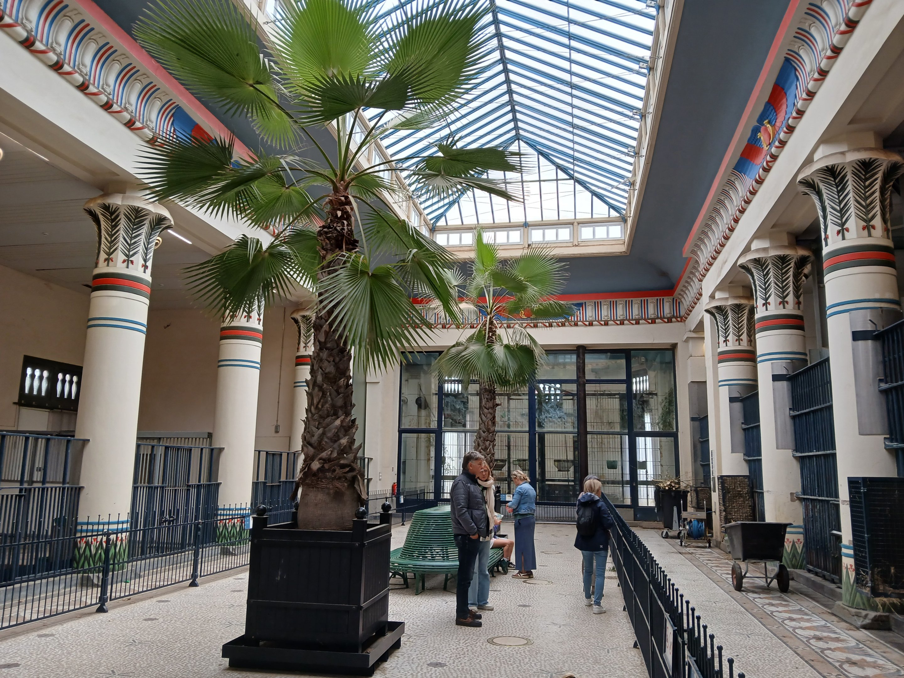 Giraffe House (30th September 2025)