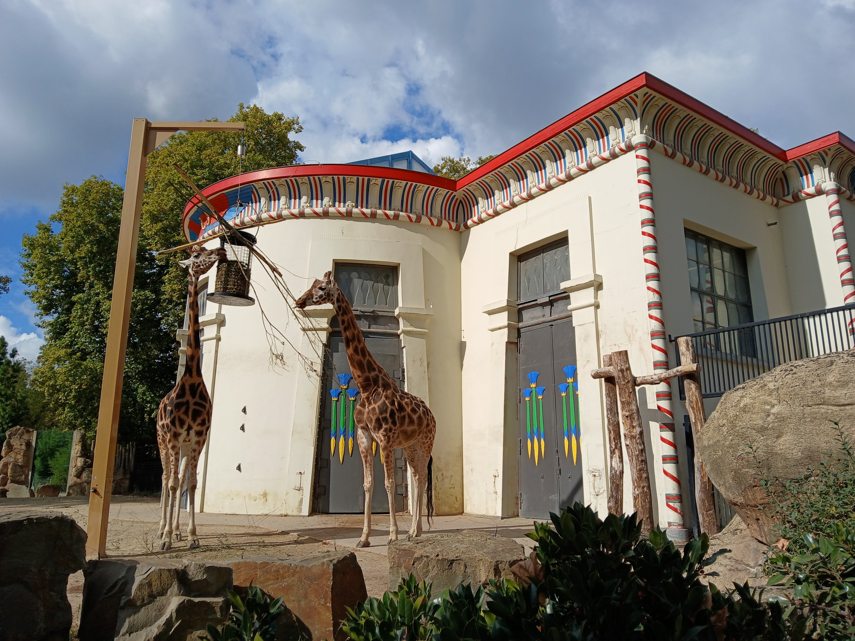 Giraffe House (30th September 2025)