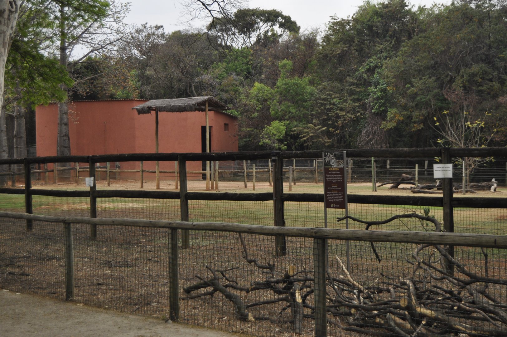 Giraffe house and enclosure