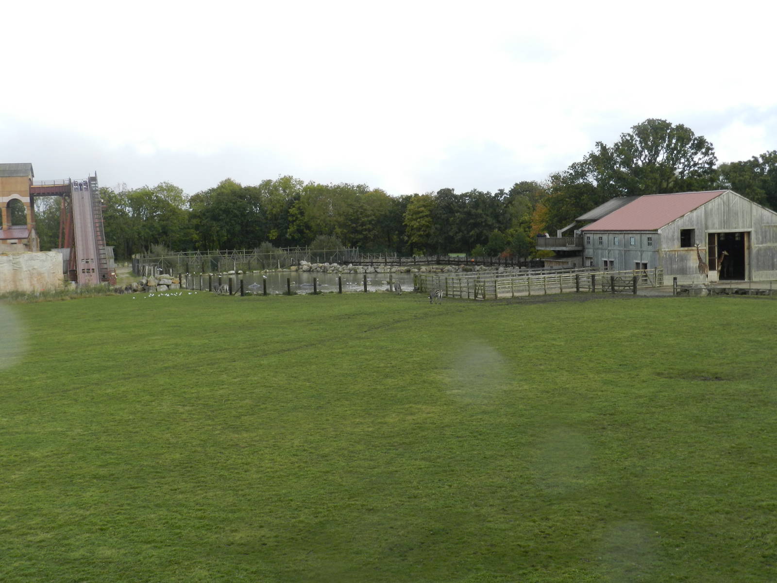 Giraffe House and Hippo Lake at Flamingo Land - 14/10/2012