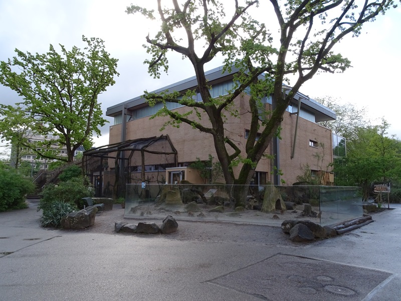 Giraffe house and meerkat enclosure