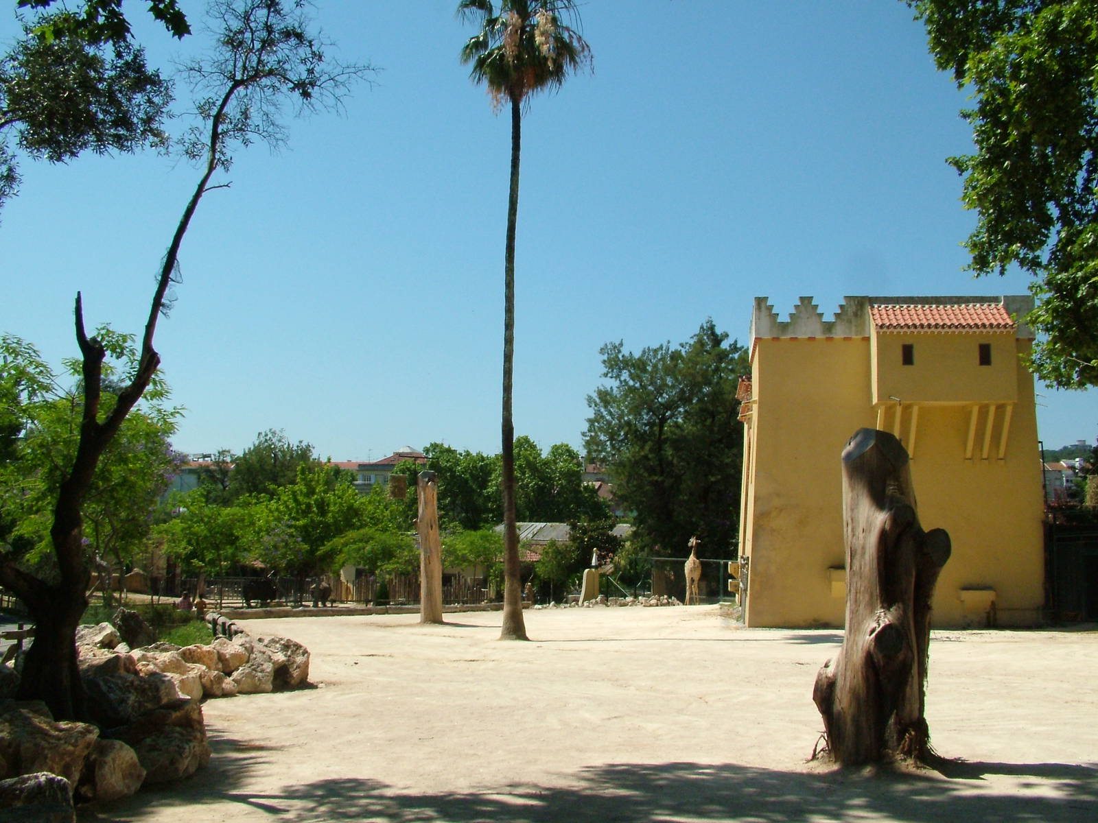 Giraffe House and Paddock at Lisbon Zoo, 24/05/11