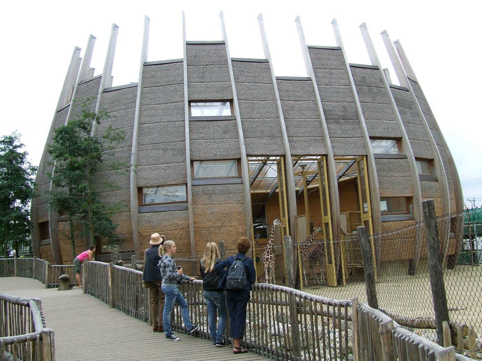 Giraffe House and Samburu Village photos, Savanna