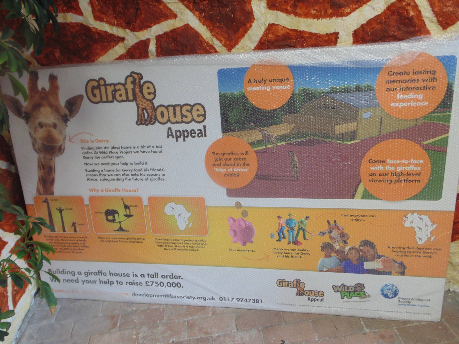 Giraffe House Appeal
