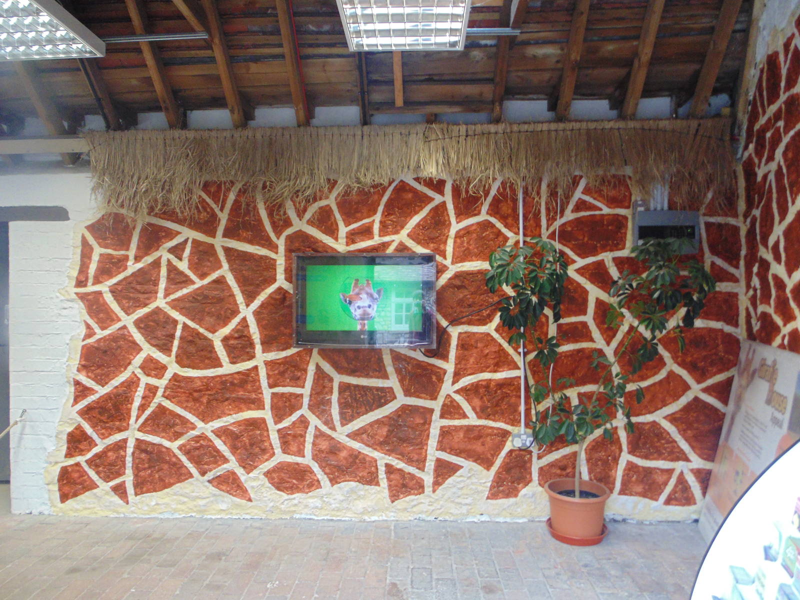 Giraffe House Appeal