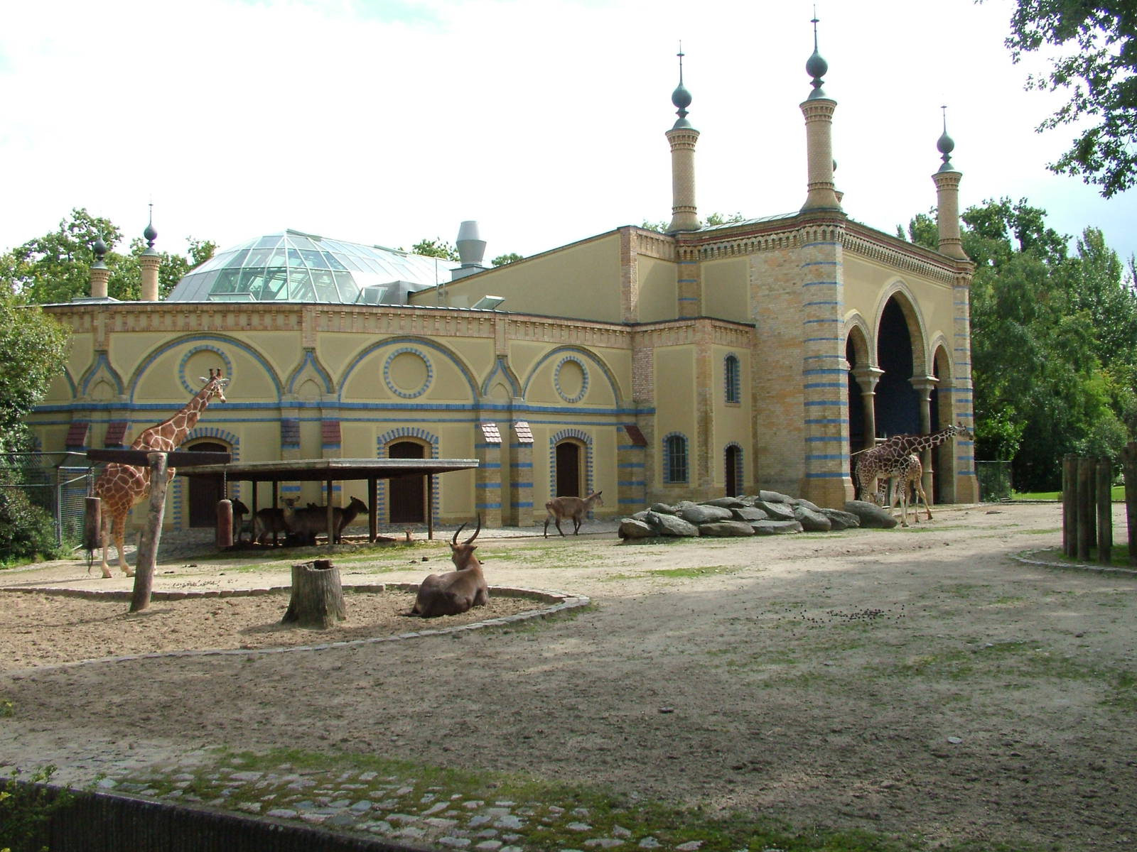 Giraffe House at Berlin Zoo, 31/08/11
