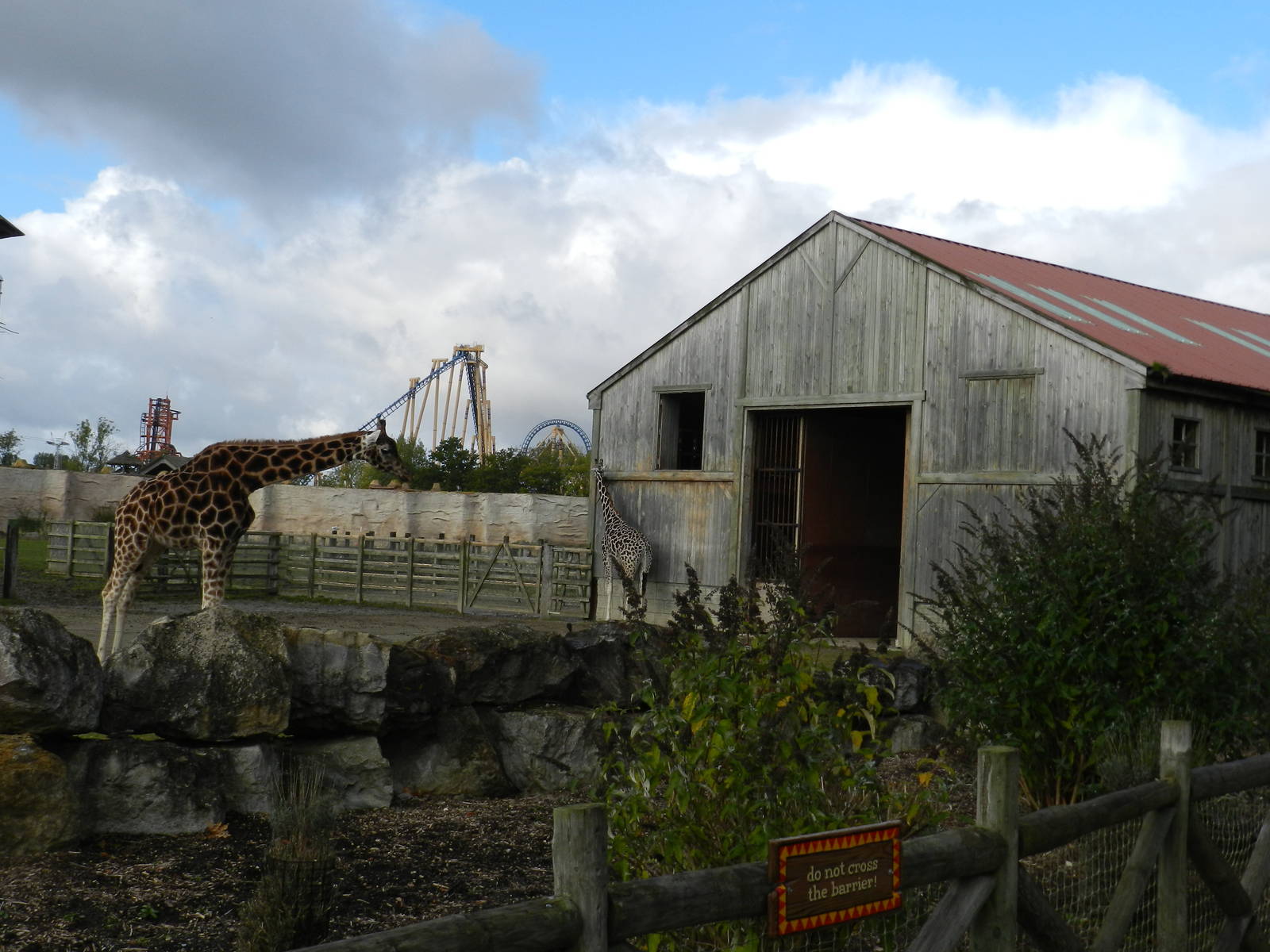 Giraffe House at Flamingo Land - 14/10/2012