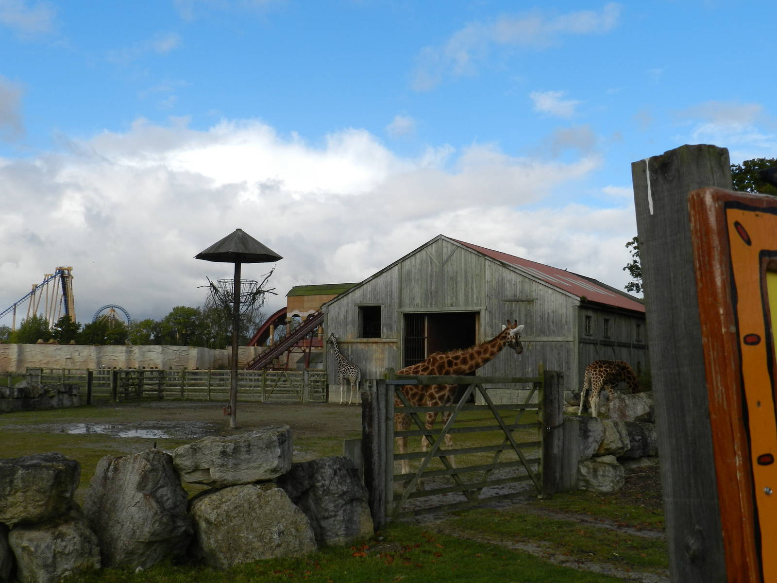 Giraffe House at Flamingo Land - 14/10/2012