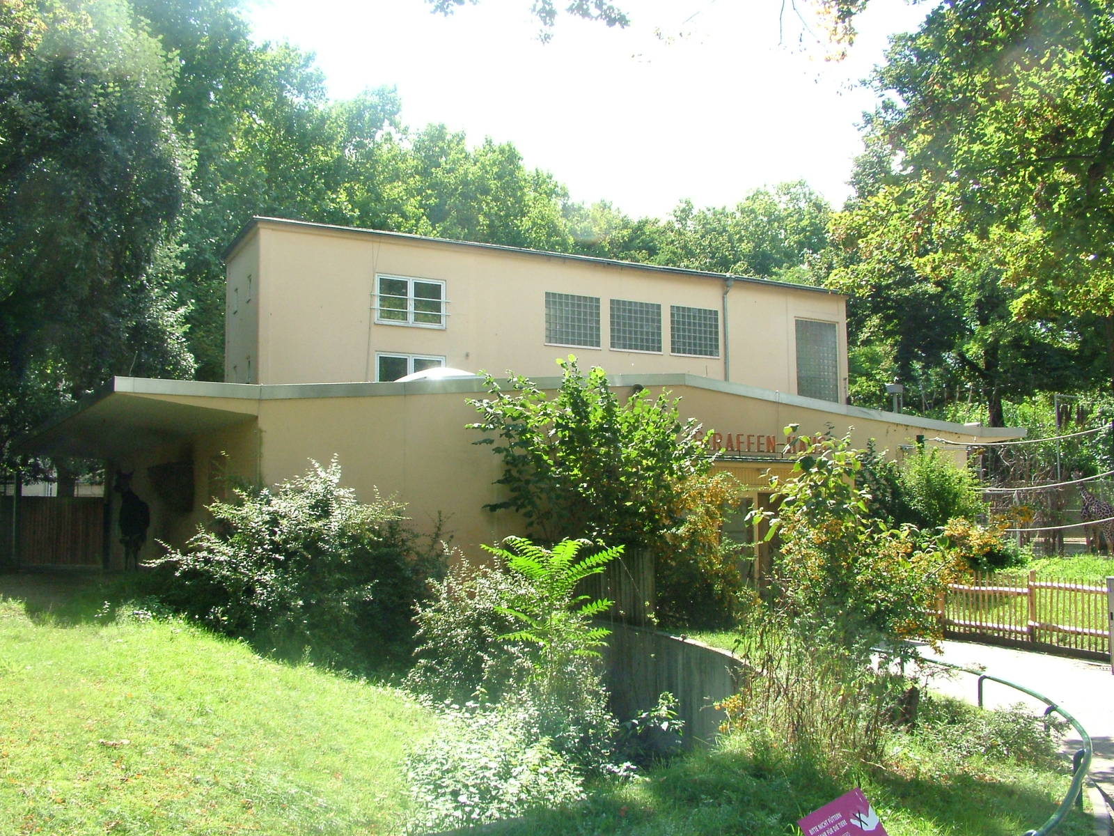 Giraffe House at Frankfurt 31/08/10