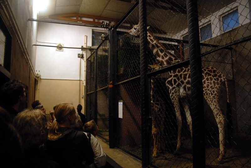 Giraffe-house at hamburg