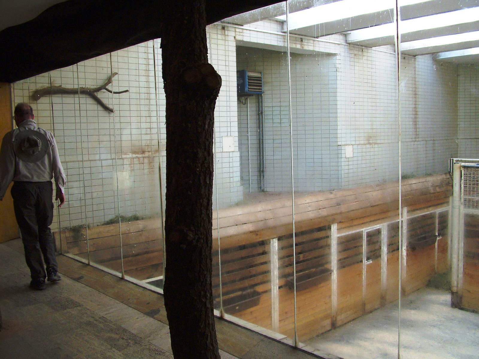 Giraffe House at Liberec, 28/08/12