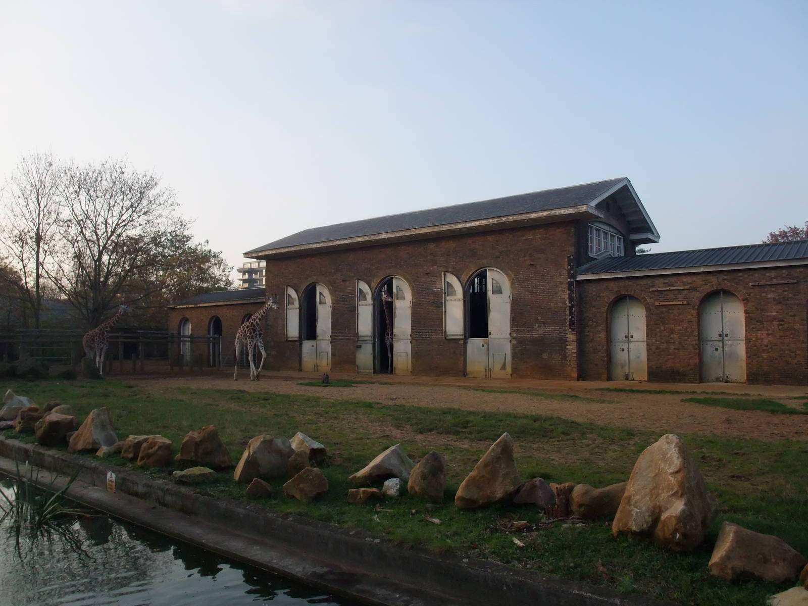 Giraffe House at London, 16/11/11